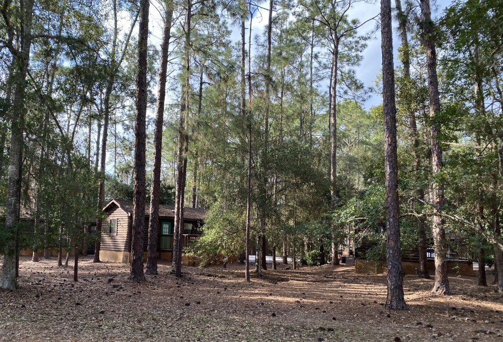 Our trip to Fort Wilderness Campground and&nbsp;Cabins